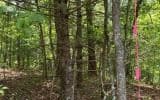 0 Ashlyn Court, Morganton GA 30560 - Photo
