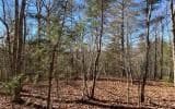 0 Ashlyn Court, Morganton GA 30560 - Photo