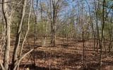0 Ashlyn Court, Morganton GA 30560 - Photo