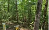 0 Ashlyn Court, Morganton GA 30560 - Photo