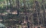 0 Ashlyn Court, Morganton GA 30560 - Photo