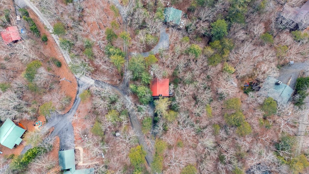 1165 Little Bushy Head Road, Blue Ridge GA 30513 - Photo