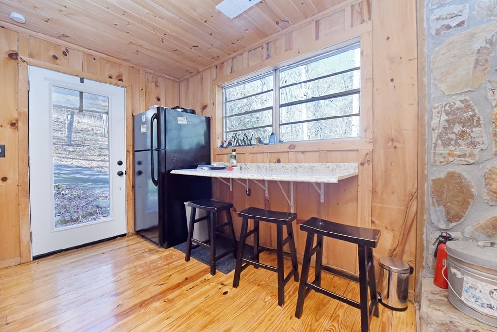 150 Donna Lee Lane, Mineral Bluff GA 30559 - Photo