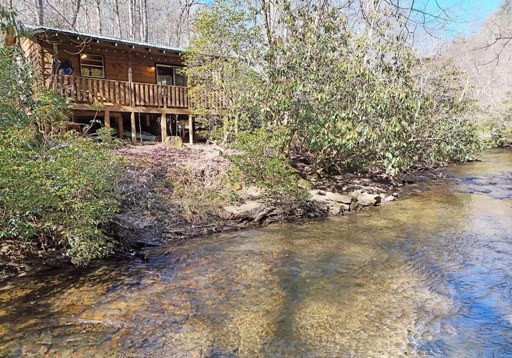 150 Donna Lee Lane, Mineral Bluff GA 30559 - Photo