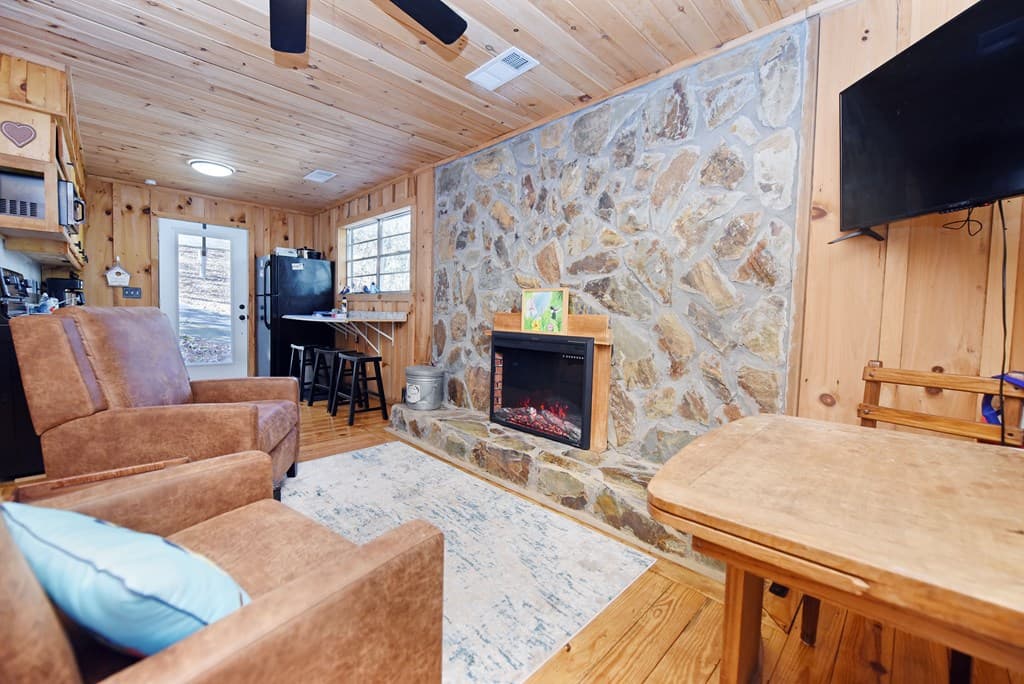 150 Donna Lee Lane, Mineral Bluff GA 30559 - Photo