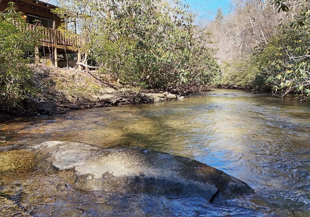 150 Donna Lee Lane, Mineral Bluff GA 30559 - Photo