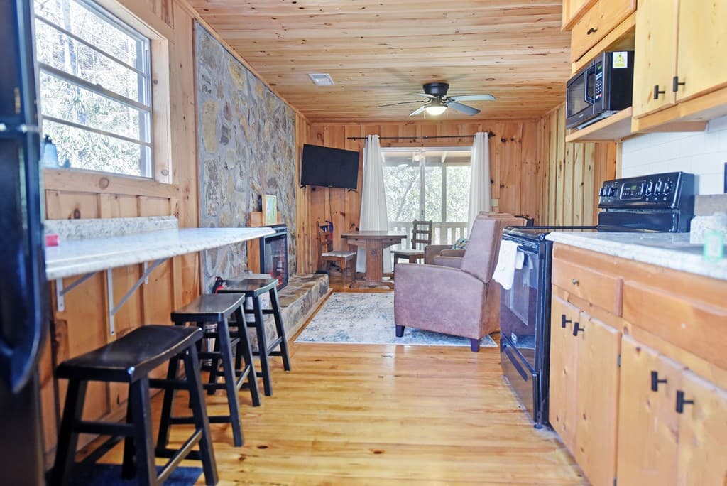 150 Donna Lee Lane, Mineral Bluff GA 30559 - Photo