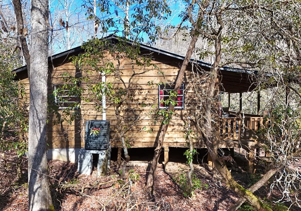 150 Donna Lee Lane, Mineral Bluff GA 30559 - Photo