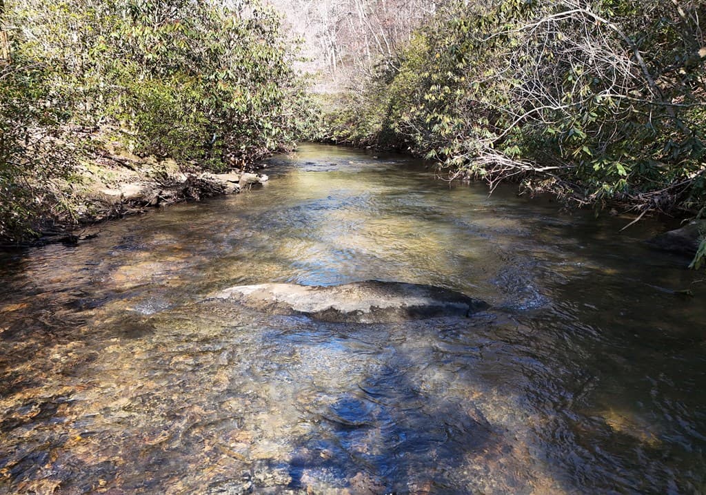 150 Donna Lee Lane, Mineral Bluff GA 30559 - Photo