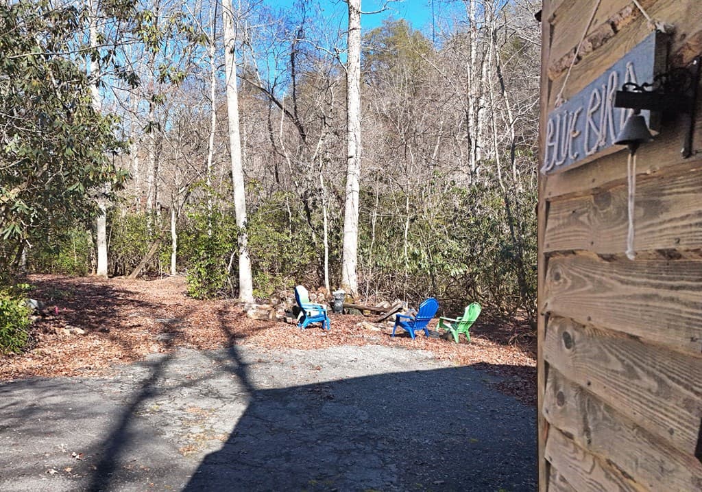 150 Donna Lee Lane, Mineral Bluff GA 30559 - Photo