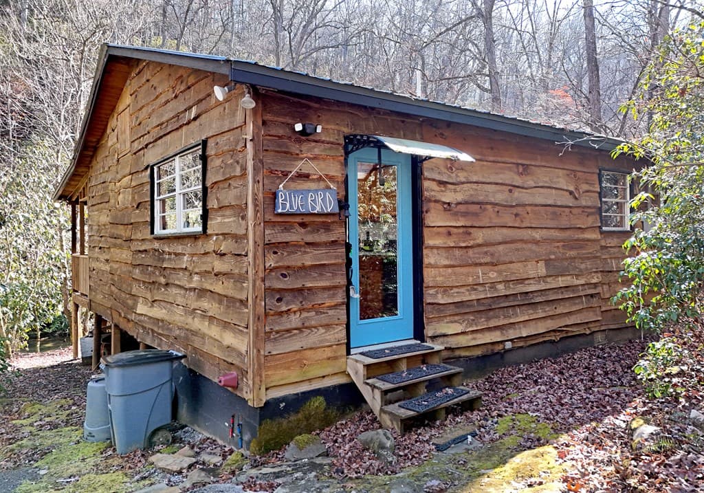 150 Donna Lee Lane, Mineral Bluff GA 30559 - Photo