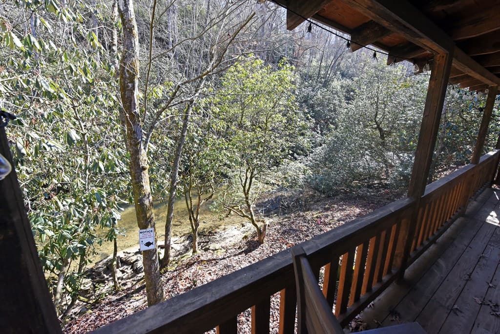 150 Donna Lee Lane, Mineral Bluff GA 30559 - Photo