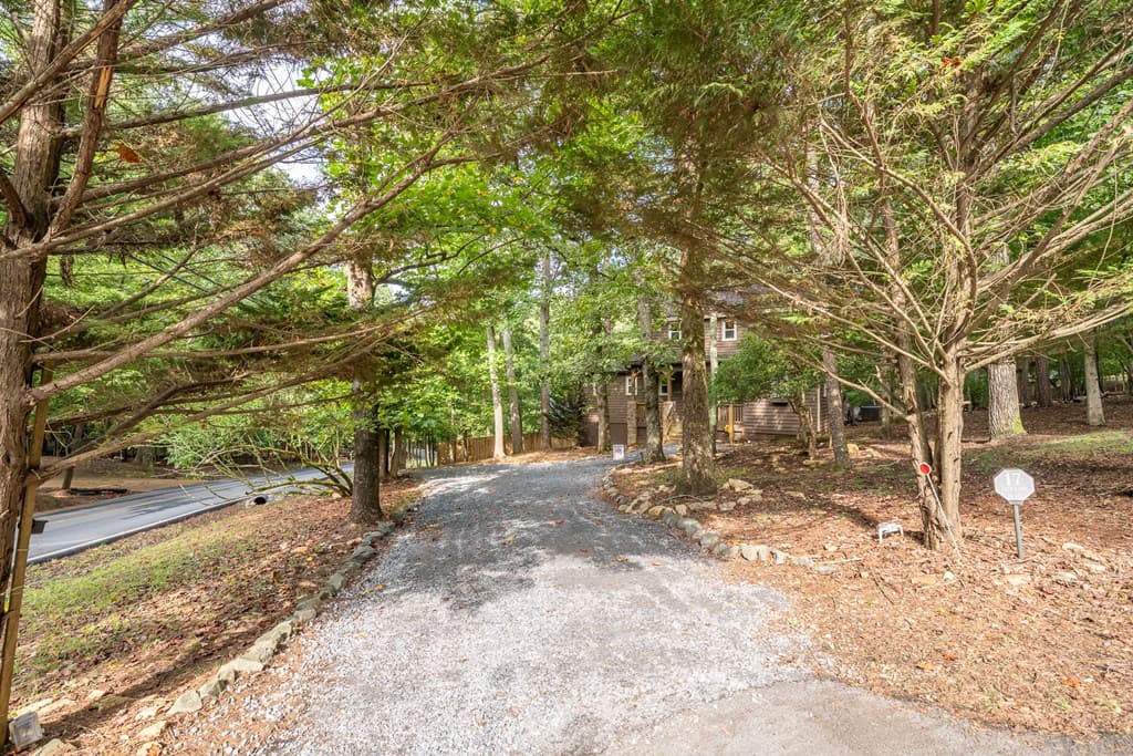 17 Tara Lane, Ellijay GA 30540 - Photo
