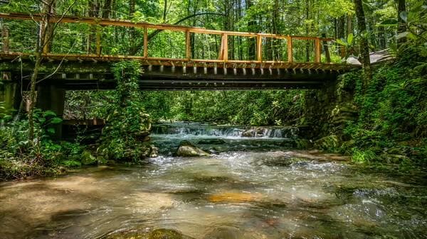 17 Tara Lane, Ellijay GA 30540 - Photo