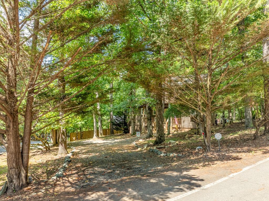 17 Tara Lane, Ellijay GA 30540 - Photo