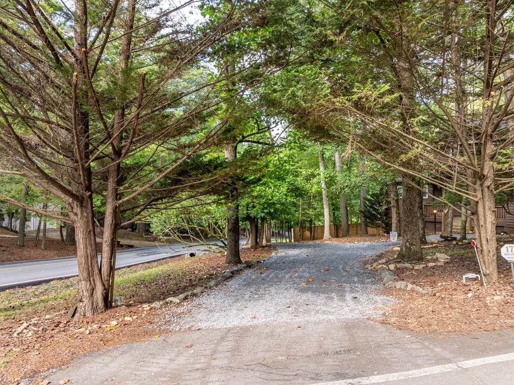 17 Tara Lane, Ellijay GA 30540 - Photo