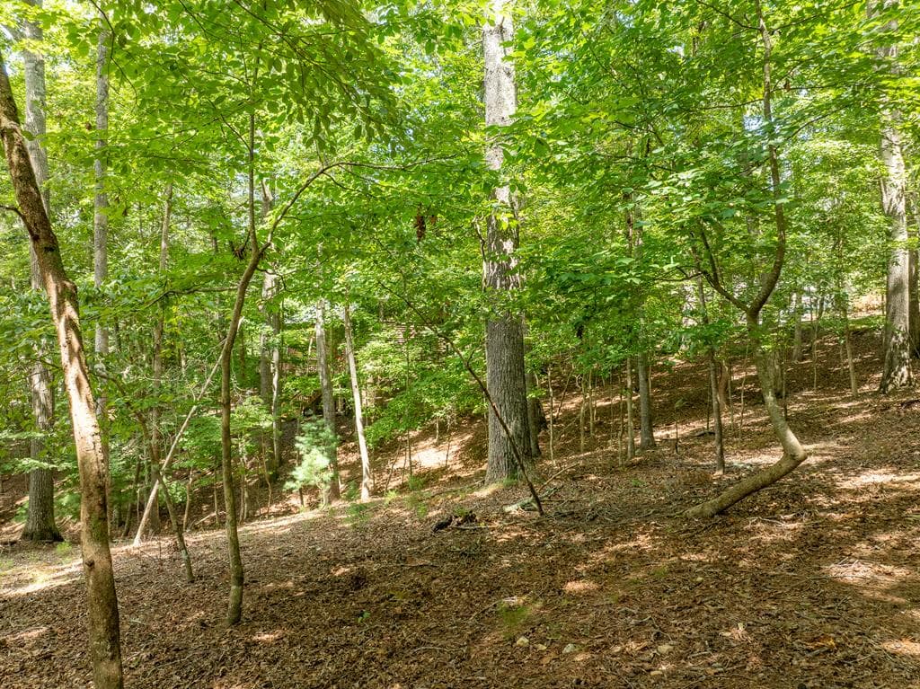17 Tara Lane, Ellijay GA 30540 - Photo