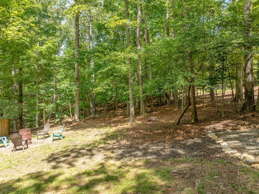 17 Tara Lane, Ellijay GA 30540 - Photo