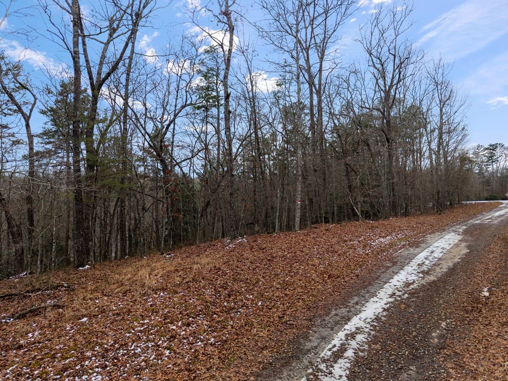 TR4 Curtis Ridge Road, Blue Ridge GA 30513 - Photo