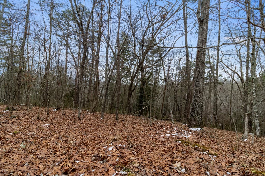 TR4 Curtis Ridge Road, Blue Ridge GA 30513 - Photo