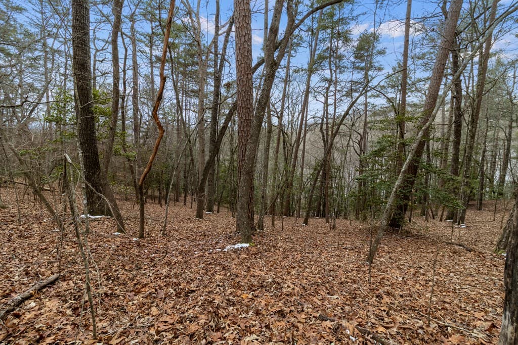 TR4 Curtis Ridge Road, Blue Ridge GA 30513 - Photo