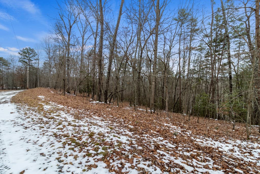 TR4 Curtis Ridge Road, Blue Ridge GA 30513 - Photo