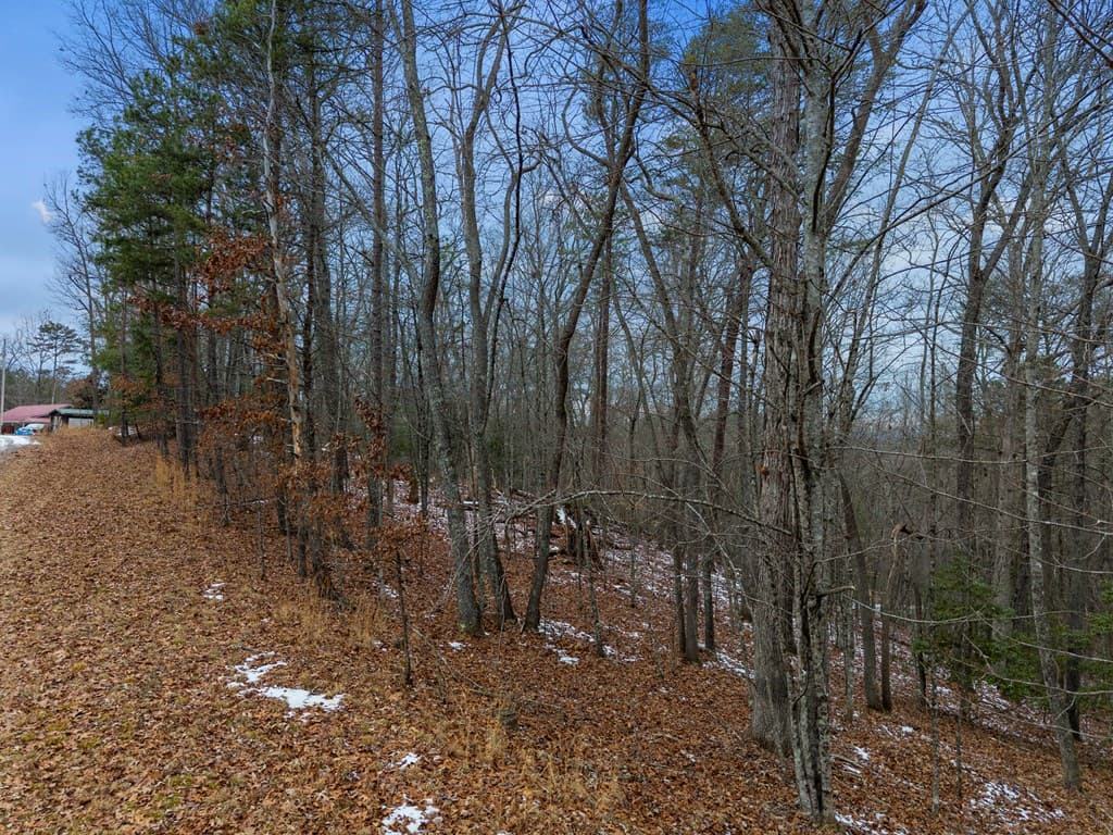 TR4 Curtis Ridge Road, Blue Ridge GA 30513 - Photo