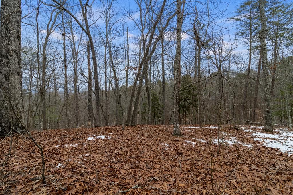 TR4 Curtis Ridge Road, Blue Ridge GA 30513 - Primary photo