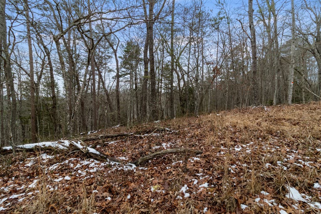 TR4 Curtis Ridge Road, Blue Ridge GA 30513 - Photo