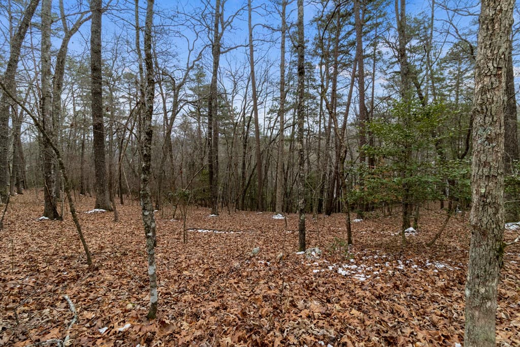 TR4 Curtis Ridge Road, Blue Ridge GA 30513 - Photo
