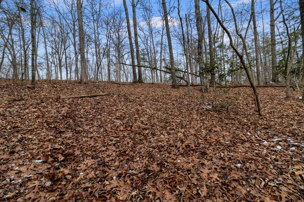 TR4 Curtis Ridge Road, Blue Ridge GA 30513 - Photo