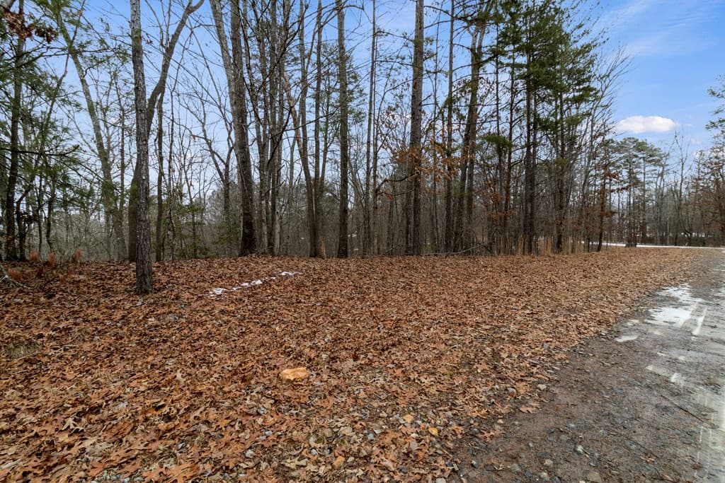 TR4 Curtis Ridge Road, Blue Ridge GA 30513 - Photo