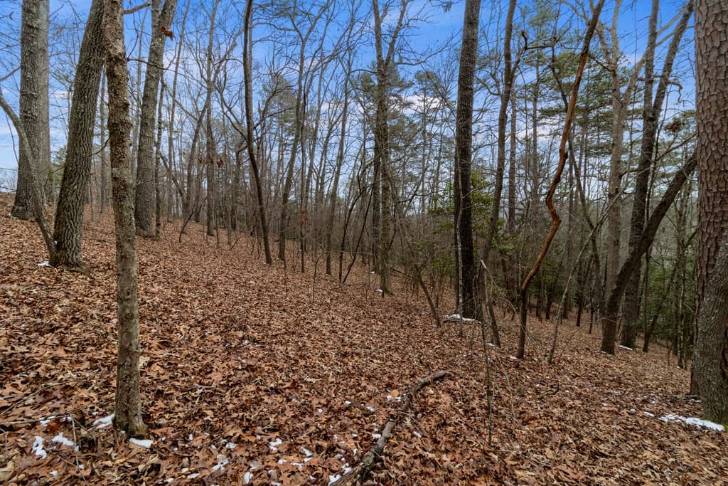 TR4 Curtis Ridge Road, Blue Ridge GA 30513 - Photo
