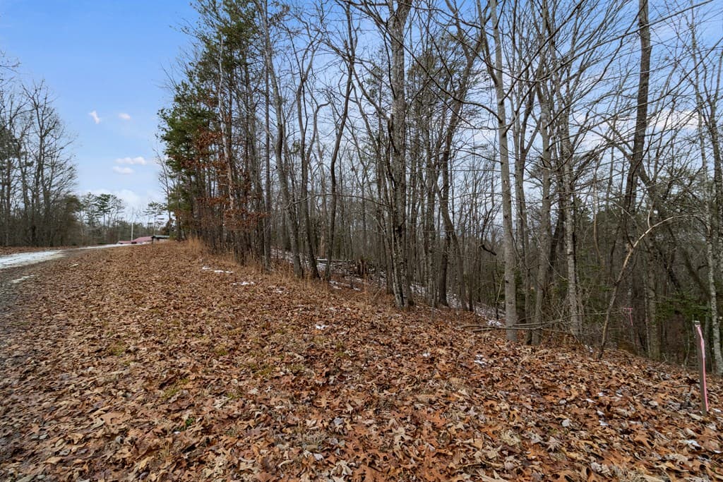 TR4 Curtis Ridge Road, Blue Ridge GA 30513 - Photo