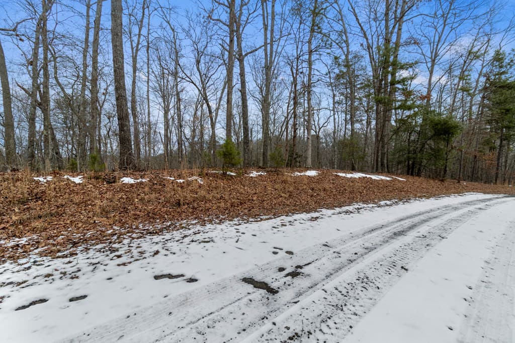 TR4 Curtis Ridge Road, Blue Ridge GA 30513 - Photo