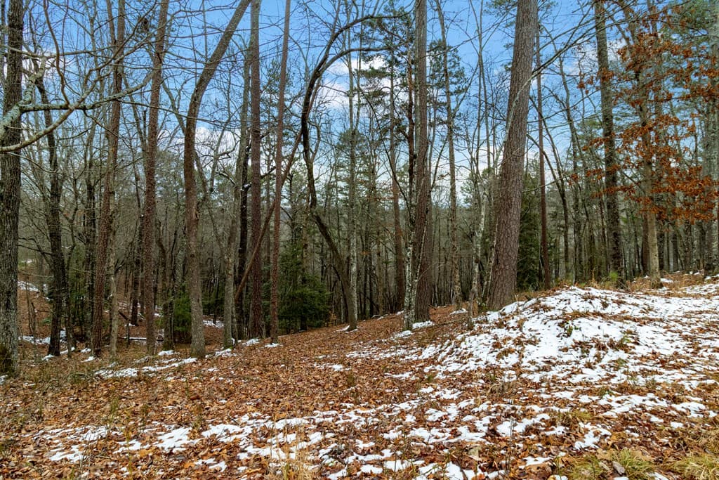 Lot 5 Curtis Ridge Road, Blue Ridge GA 30513 - Photo