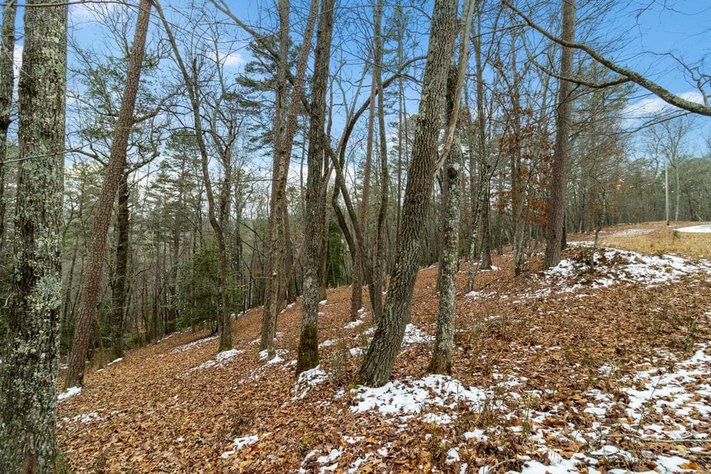 Lot 5 Curtis Ridge Road, Blue Ridge GA 30513 - Photo