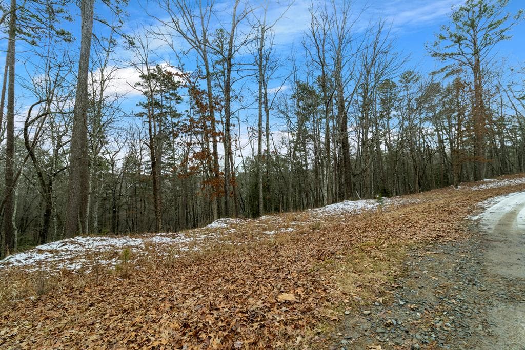 Lot 5 Curtis Ridge Road, Blue Ridge GA 30513 - Photo