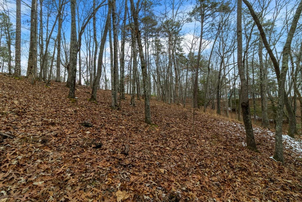 Lot 5 Curtis Ridge Road, Blue Ridge GA 30513 - Photo