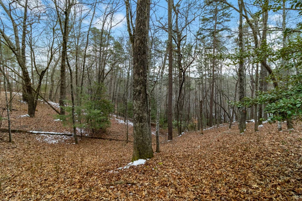 Lot 5 Curtis Ridge Road, Blue Ridge GA 30513 - Photo