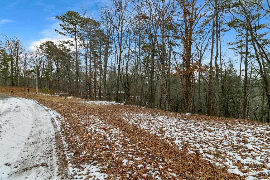 Lot 5 Curtis Ridge Road, Blue Ridge GA 30513 - Photo