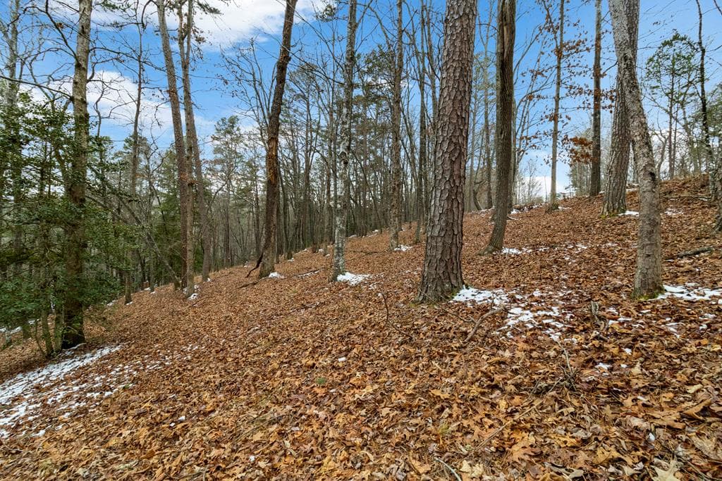 Lot 5 Curtis Ridge Road, Blue Ridge GA 30513 - Photo