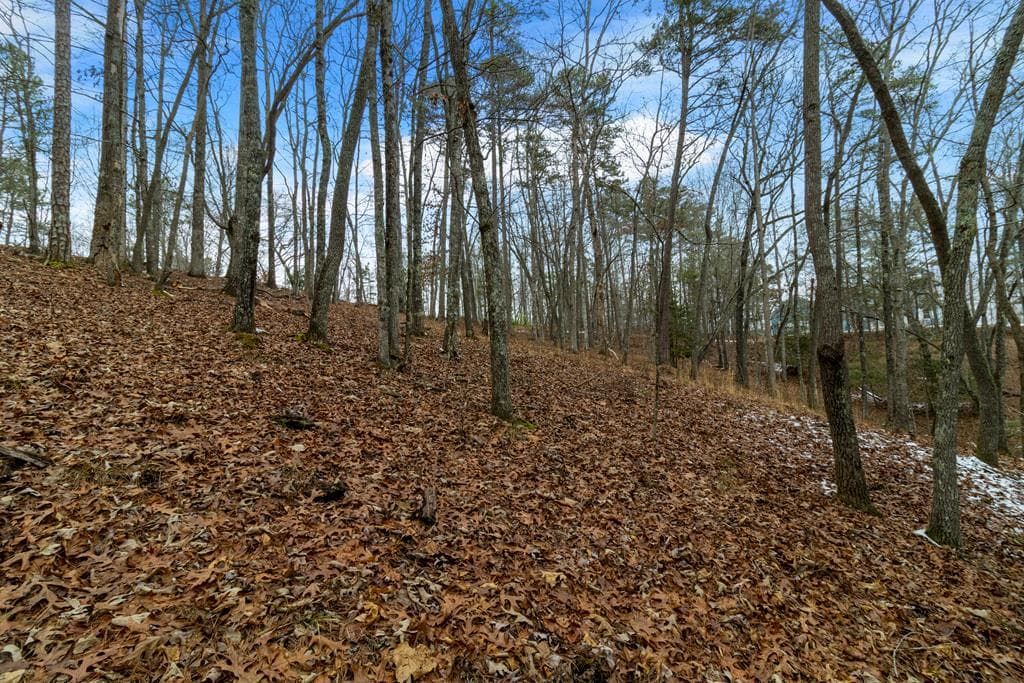 Lot 5 Curtis Ridge Road, Blue Ridge GA 30513 - Photo