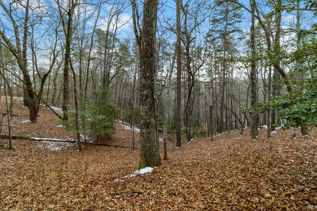 Lot 5 Curtis Ridge Road, Blue Ridge GA 30513 - Photo