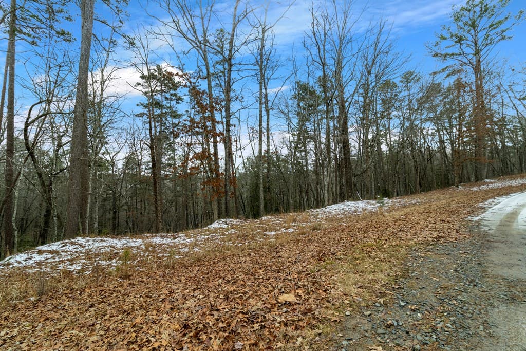 Lot 5 Curtis Ridge Road, Blue Ridge GA 30513 - Photo