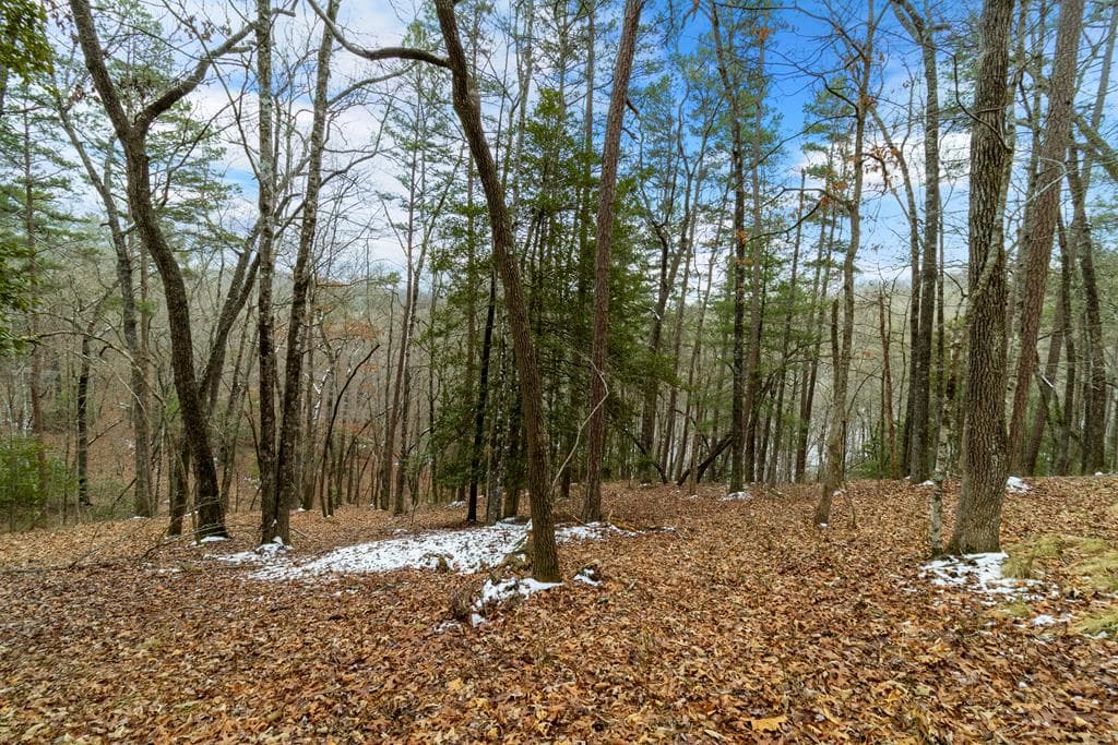Lot 5 Curtis Ridge Road, Blue Ridge GA 30513 - Photo