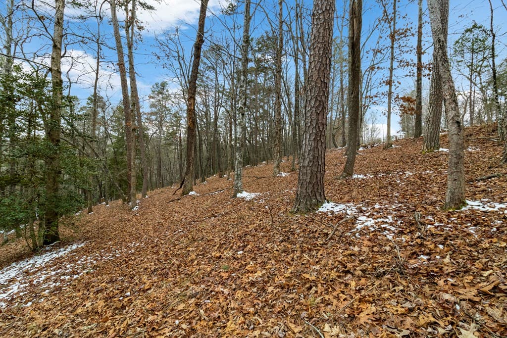 Lot 5 Curtis Ridge Road, Blue Ridge GA 30513 - Photo