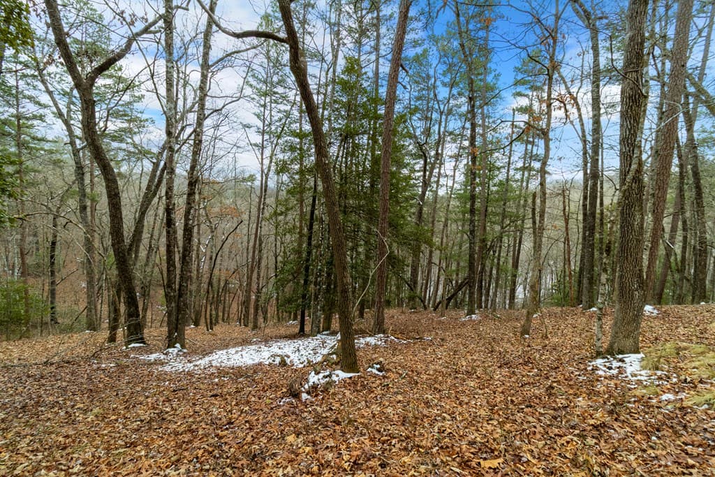 Lot 5 Curtis Ridge Road, Blue Ridge GA 30513 - Photo