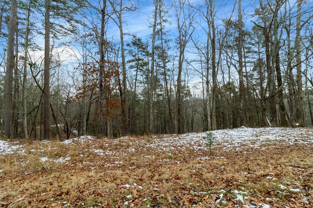 Lot 5 Curtis Ridge Road, Blue Ridge GA 30513 - Photo
