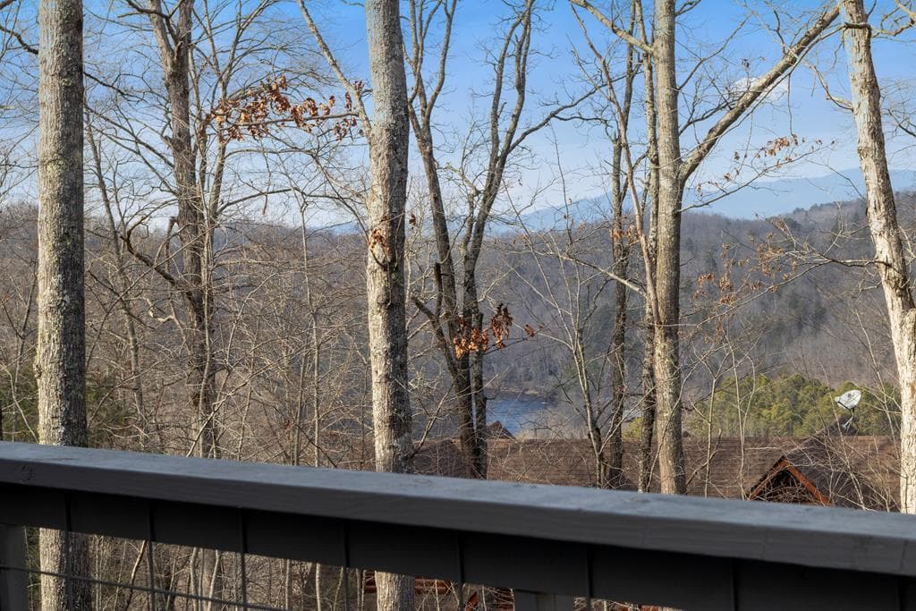 56 Robins Ridge, Blue Ridge GA 30513 - Photo